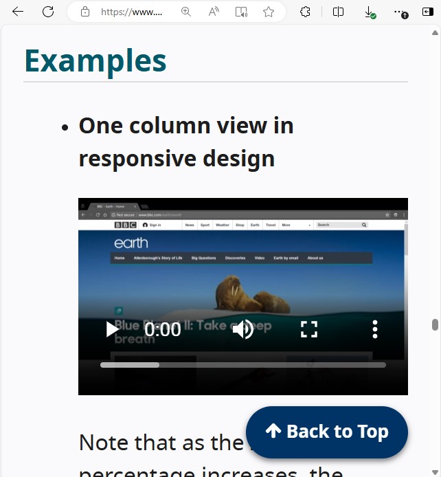 The video player visually fits within its containing element which fits within the zoomed in browser viewport.